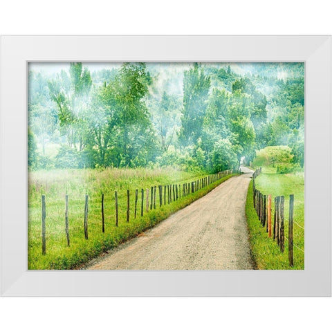 Country Road Photo II White Modern Wood Framed Art Print by McLoughlin, James