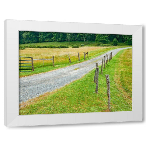 Country Road Photo III White Modern Wood Framed Art Print by McLoughlin, James