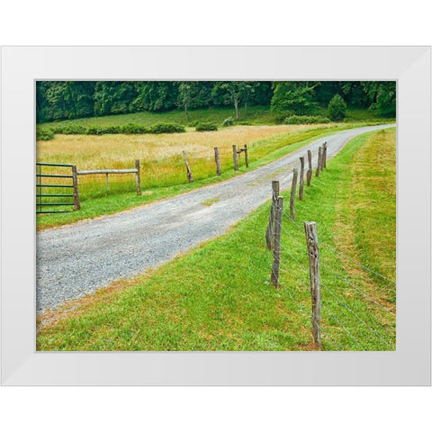 Country Road Photo III White Modern Wood Framed Art Print by McLoughlin, James