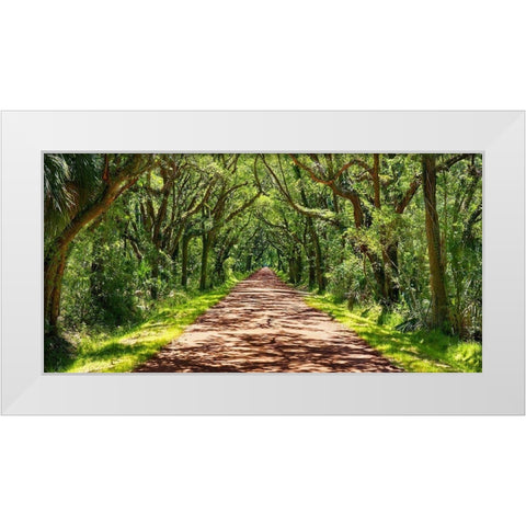 Country Road Photo VII White Modern Wood Framed Art Print by McLoughlin, James