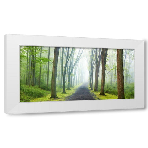 Country Road Photo VIII White Modern Wood Framed Art Print by McLoughlin, James