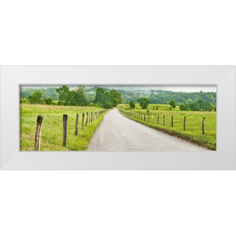Country Road Panorama I White Modern Wood Framed Art Print by McLoughlin, James