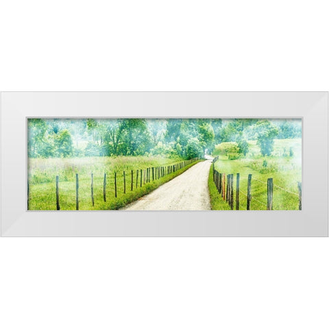 Country Road Panorama II White Modern Wood Framed Art Print by McLoughlin, James
