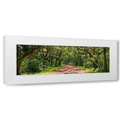 Country Road Panorama IV White Modern Wood Framed Art Print by McLoughlin, James