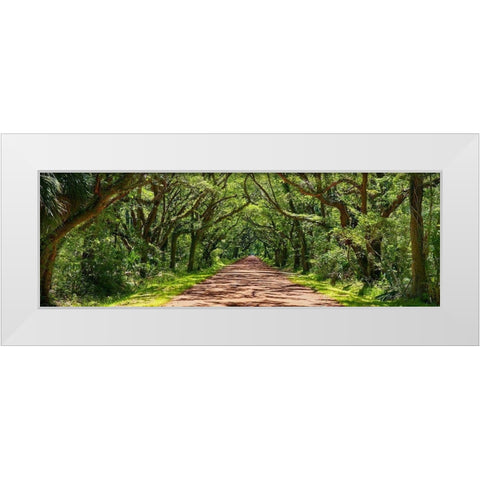 Country Road Panorama IV White Modern Wood Framed Art Print by McLoughlin, James