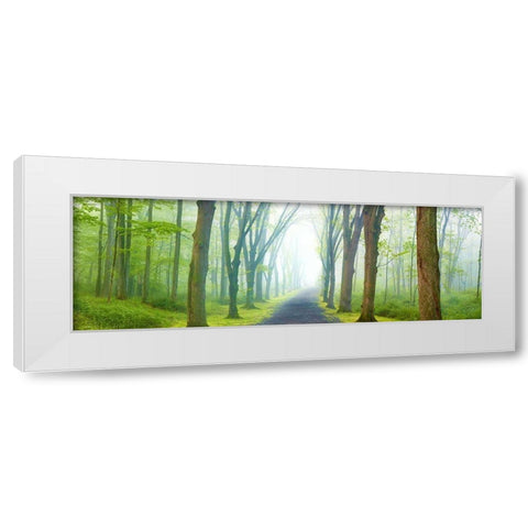Country Road Panorama V White Modern Wood Framed Art Print by McLoughlin, James
