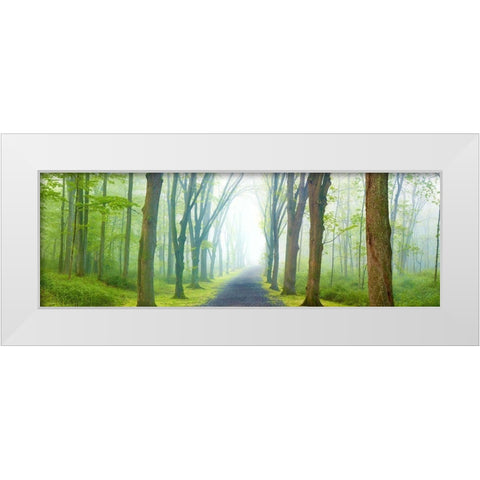 Country Road Panorama V White Modern Wood Framed Art Print by McLoughlin, James