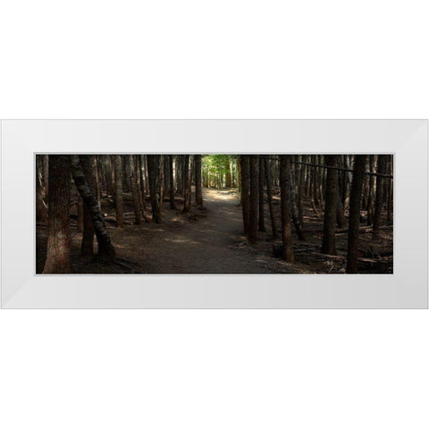 Country Road Panorama VII White Modern Wood Framed Art Print by McLoughlin, James