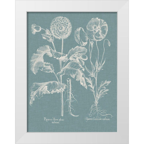 Besler Poppies II White Modern Wood Framed Art Print by Besler, Basilius