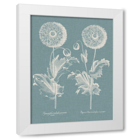 Besler Poppies III White Modern Wood Framed Art Print by Besler, Basilius