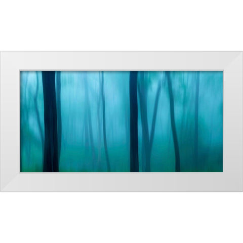 Harriman Woods II White Modern Wood Framed Art Print by McLoughlin, James