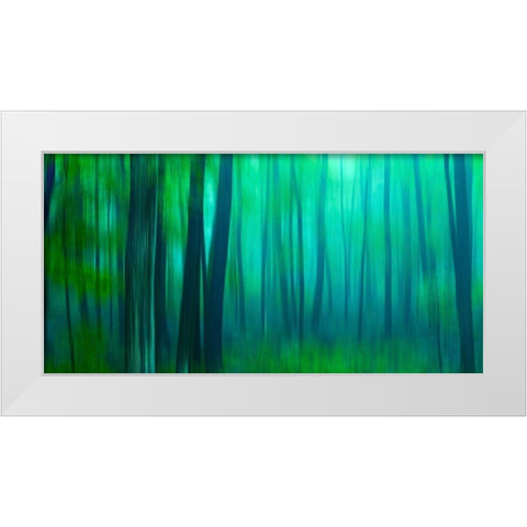 Harriman Woods III White Modern Wood Framed Art Print by McLoughlin, James