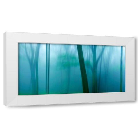 Harriman Woods IV White Modern Wood Framed Art Print by McLoughlin, James
