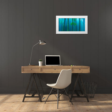 Harriman Woods V White Modern Wood Framed Art Print by McLoughlin, James