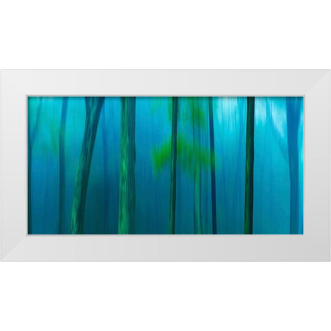 Harriman Woods V White Modern Wood Framed Art Print by McLoughlin, James