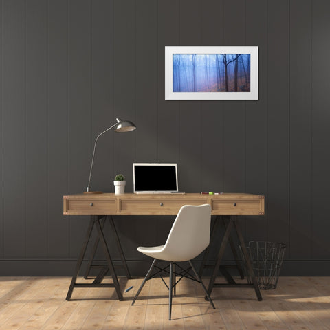 Harriman Woods VI White Modern Wood Framed Art Print by McLoughlin, James