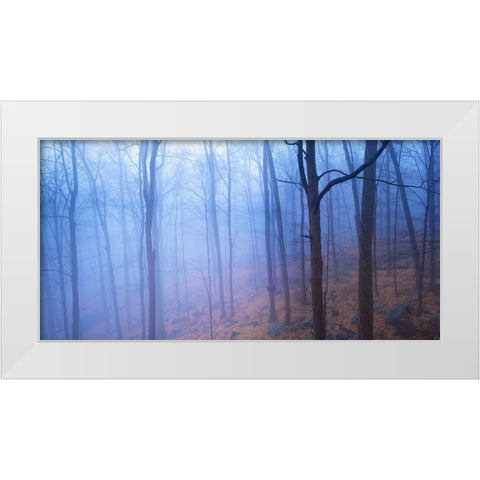 Harriman Woods VI White Modern Wood Framed Art Print by McLoughlin, James