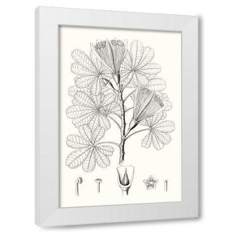 Illustrative Leaves II White Modern Wood Framed Art Print by Vision Studio