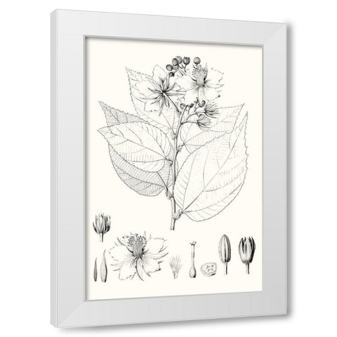 Illustrative Leaves III White Modern Wood Framed Art Print by Vision Studio