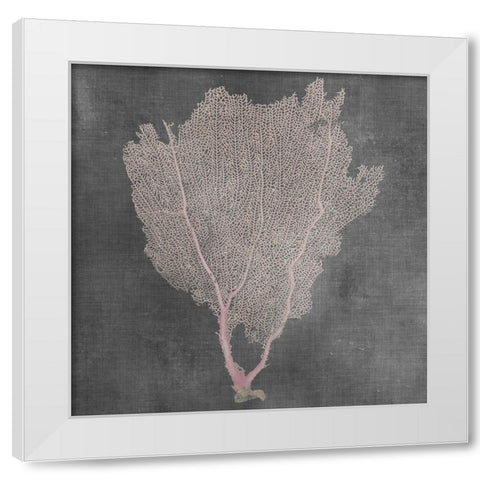 Natural Sea Fan I White Modern Wood Framed Art Print by Vision Studio