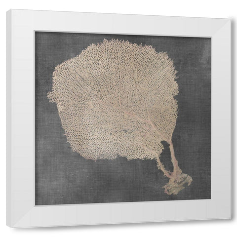 Natural Sea Fan II White Modern Wood Framed Art Print by Vision Studio