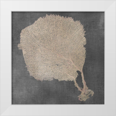 Natural Sea Fan II White Modern Wood Framed Art Print by Vision Studio