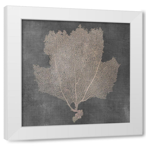 Natural Sea Fan III White Modern Wood Framed Art Print by Vision Studio