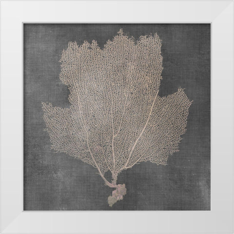 Natural Sea Fan III White Modern Wood Framed Art Print by Vision Studio