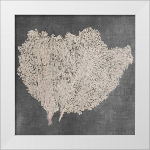 Natural Sea Fan IV White Modern Wood Framed Art Print by Vision Studio