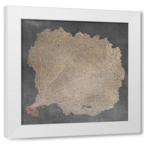 Natural Sea Fan V White Modern Wood Framed Art Print by Vision Studio