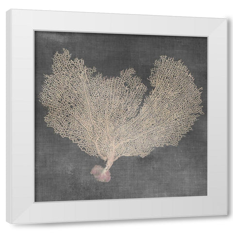 Natural Sea Fan VI White Modern Wood Framed Art Print by Vision Studio