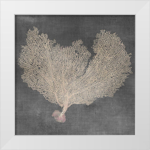 Natural Sea Fan VI White Modern Wood Framed Art Print by Vision Studio