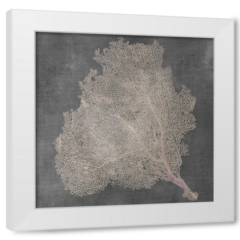 Natural Sea Fan VII White Modern Wood Framed Art Print by Vision Studio