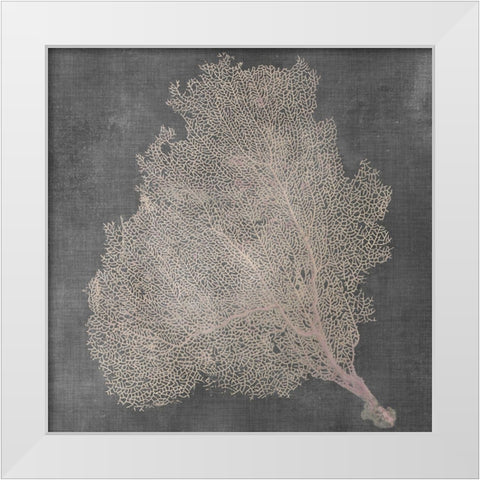 Natural Sea Fan VII White Modern Wood Framed Art Print by Vision Studio