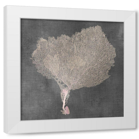 Natural Sea Fan VIII White Modern Wood Framed Art Print by Vision Studio