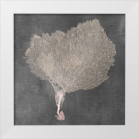 Natural Sea Fan VIII White Modern Wood Framed Art Print by Vision Studio