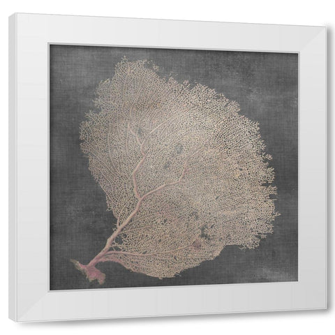 Natural Sea Fan IX White Modern Wood Framed Art Print by Vision Studio