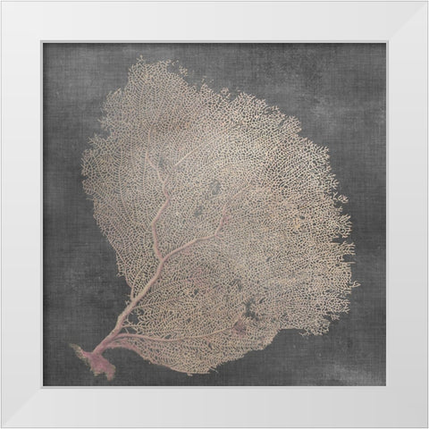 Natural Sea Fan IX White Modern Wood Framed Art Print by Vision Studio