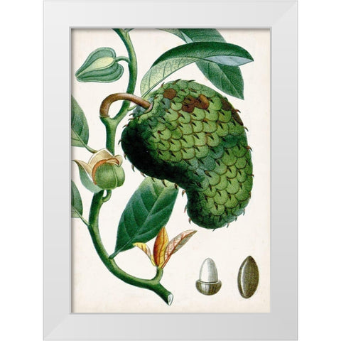 Turpin Tropical Fruit VIII White Modern Wood Framed Art Print by Turpin