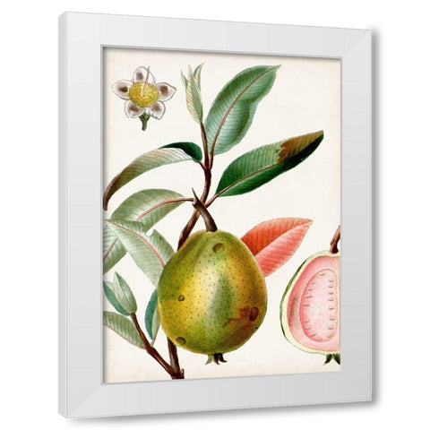 Turpin Tropical Fruit IX White Modern Wood Framed Art Print by Turpin