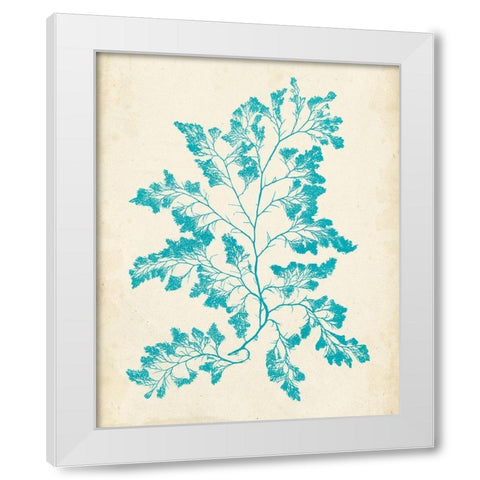 Aquamarine Seaweed I White Modern Wood Framed Art Print by Vision Studio