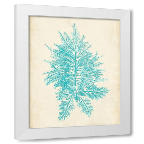 Aquamarine Seaweed III White Modern Wood Framed Art Print by Vision Studio