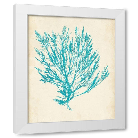 Aquamarine Seaweed IV White Modern Wood Framed Art Print by Vision Studio