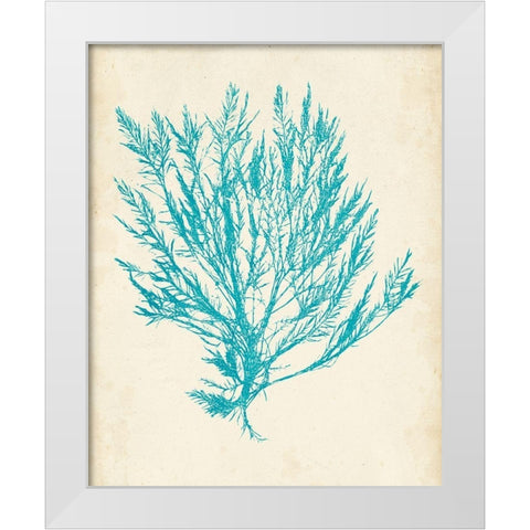 Aquamarine Seaweed IV White Modern Wood Framed Art Print by Vision Studio