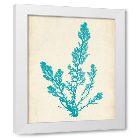Aquamarine Seaweed VI White Modern Wood Framed Art Print by Vision Studio