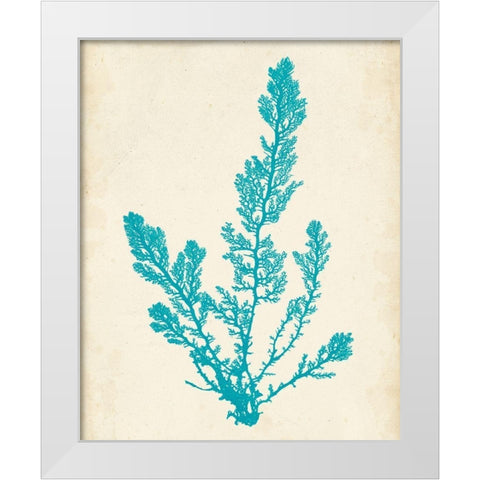 Aquamarine Seaweed VI White Modern Wood Framed Art Print by Vision Studio