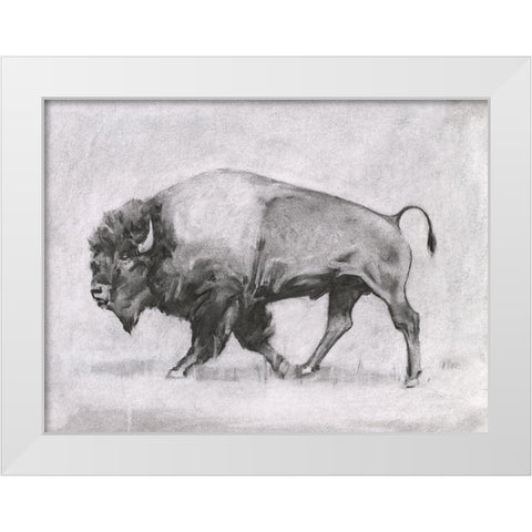 Wild Bison Study II White Modern Wood Framed Art Print by Scarvey, Emma