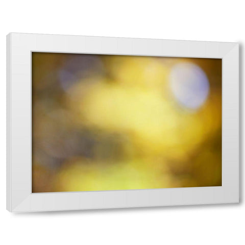 Soft Landscape IV White Modern Wood Framed Art Print by McLoughlin, James