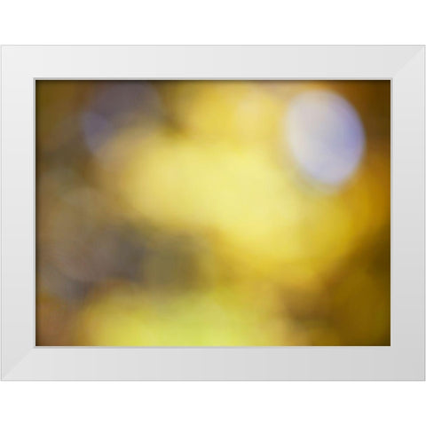 Soft Landscape IV White Modern Wood Framed Art Print by McLoughlin, James