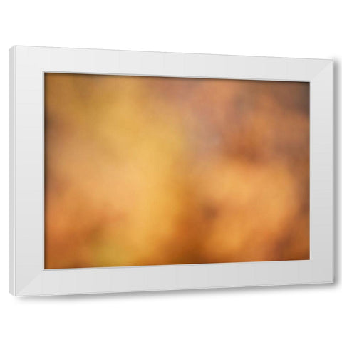 Soft Landscape V White Modern Wood Framed Art Print by McLoughlin, James